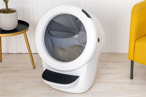 best self cleaning litter box 2024